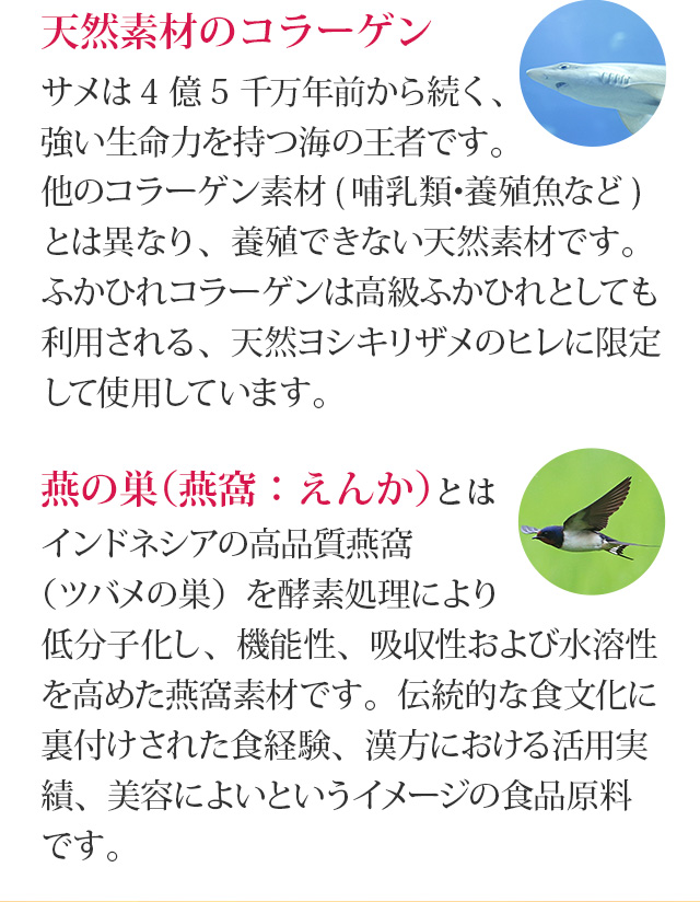 ふかひれコラーゲン&燕の巣エキスの成分について