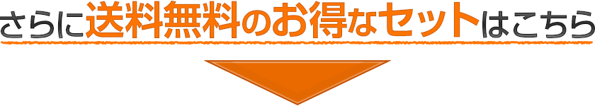 送料無料のお得なセットはこちら